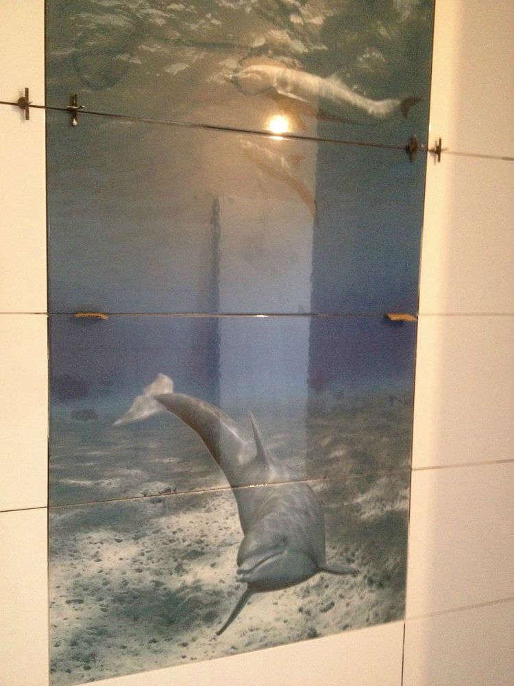dauphins